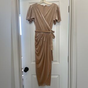Ivy City Co Velvet Dress in Champagne